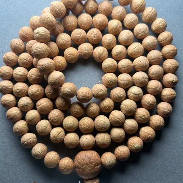 尼泊尔凤眼11mm108挂脖姜黄皮油籽大眼108高密高油原皮原色