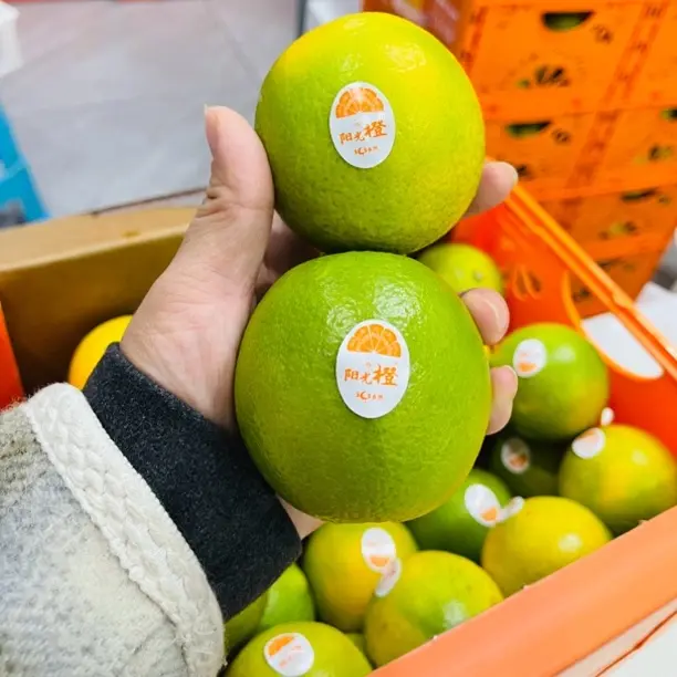云南哀牢山冰糖橙青皮水果当季新鲜清甜多汁皮薄肉厚