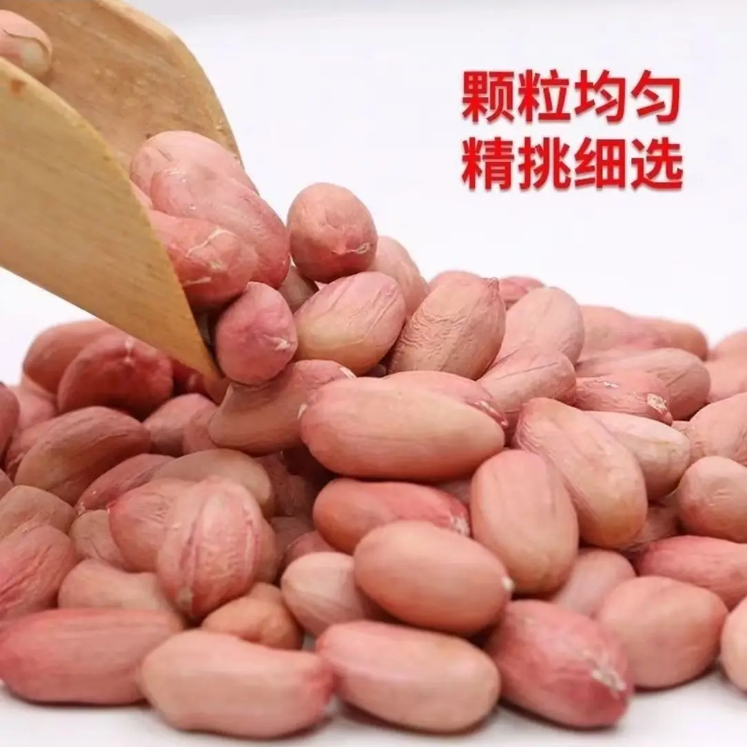 2025年东北新鲜大粒花生仁800克袋农产品白沙生花生米新货