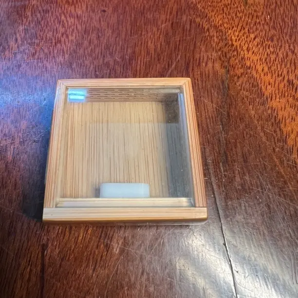 三面开窗金钟竹蛉盒鸣虫虫具用具