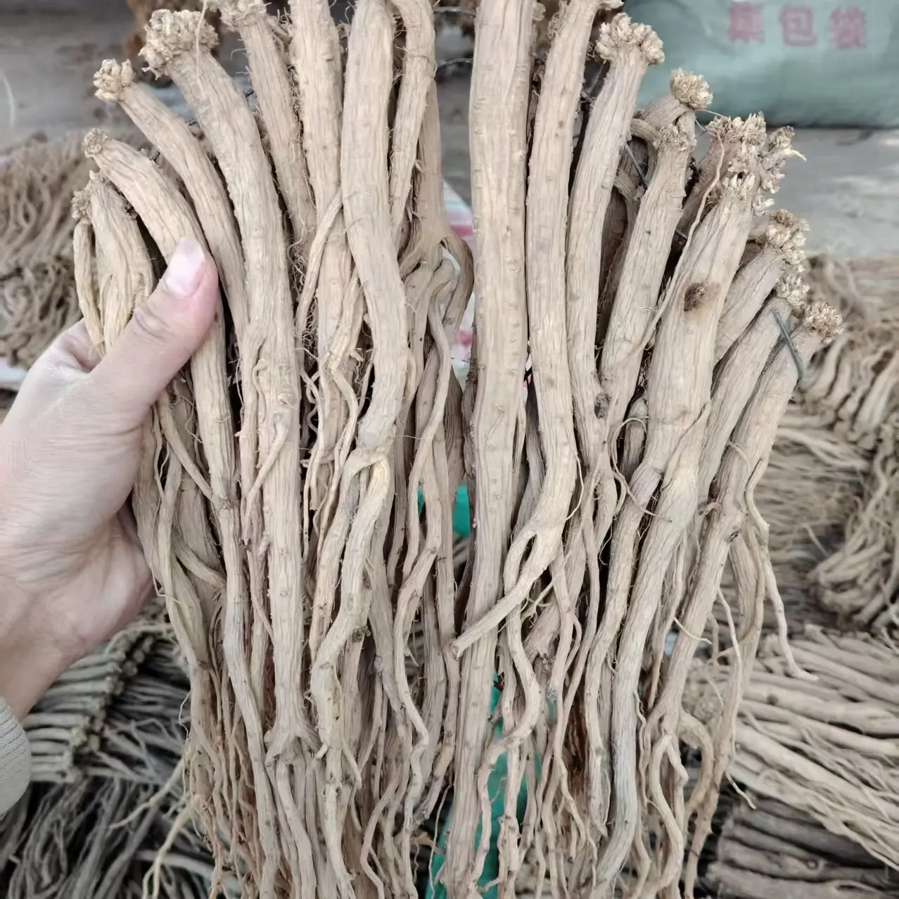 甘肃产地党参大条八九成干货可滋补适合煲汤泡水炖肉煮水