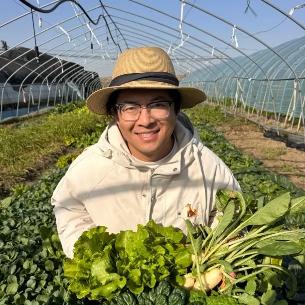 自家新鲜蔬菜大礼包
