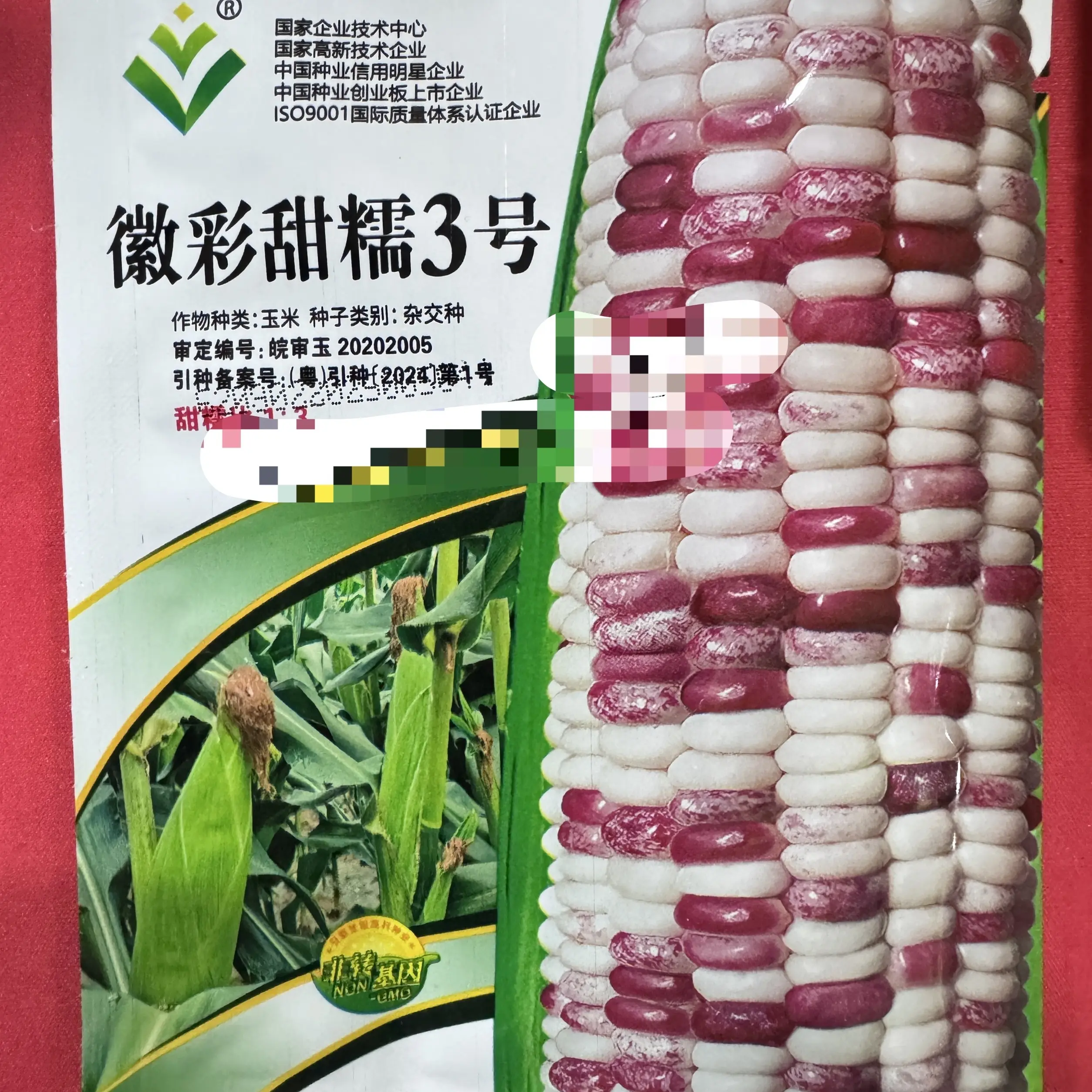 新鲜现摘甜糯花糯玉米代餐粗粮