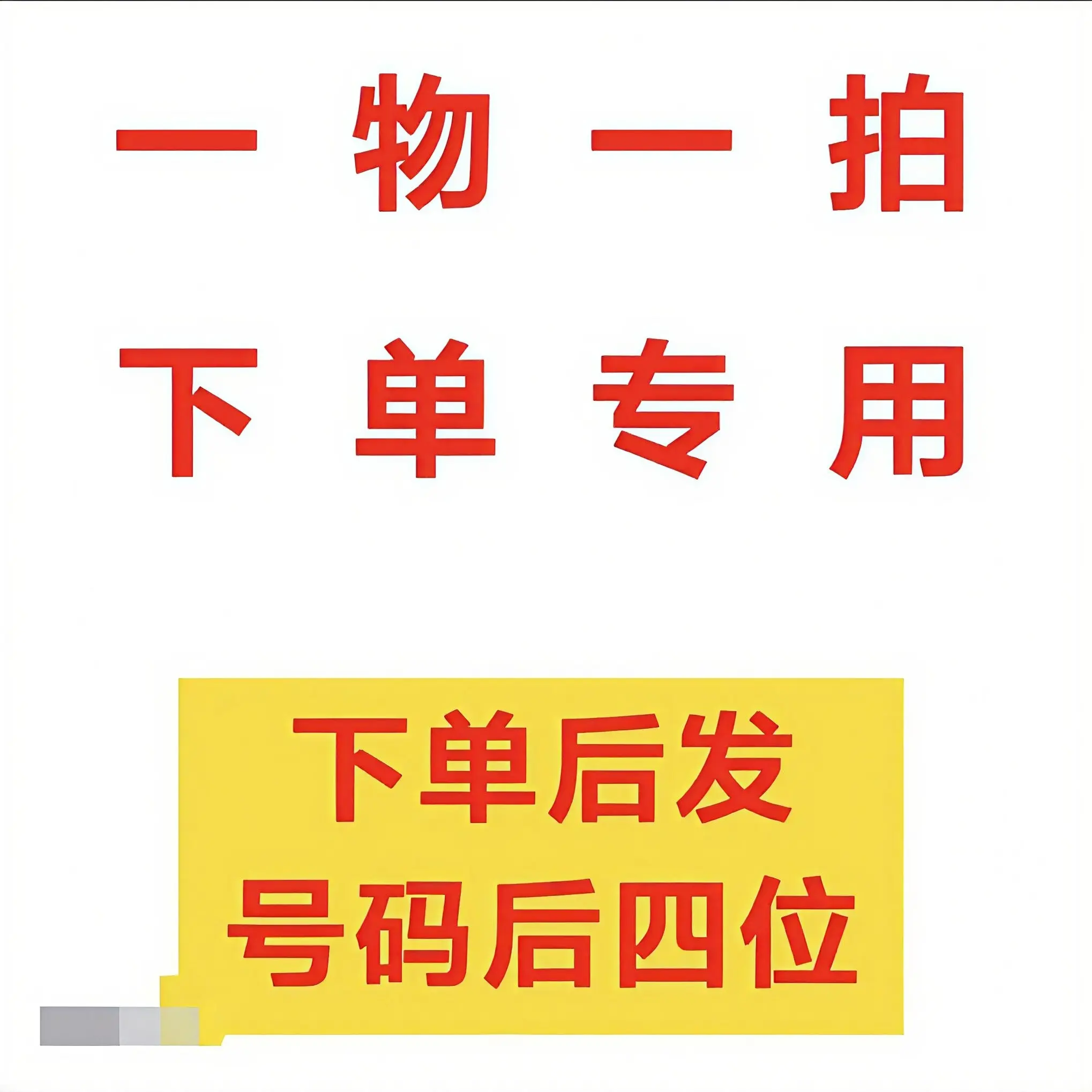 耐寒耐热玫瑰甘蓝冬日玫瑰盆栽花卉带花苞适合阳台庭院种植