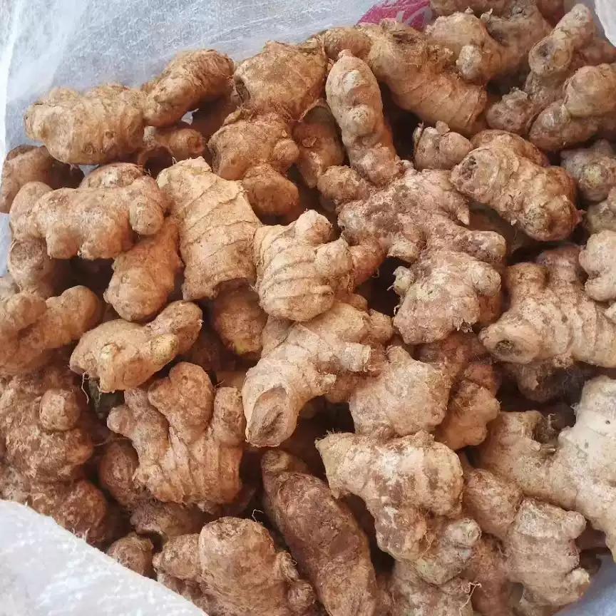 贵州农家2到3年老姜/母姜头姜灸/姜茶/百日姜/干姜