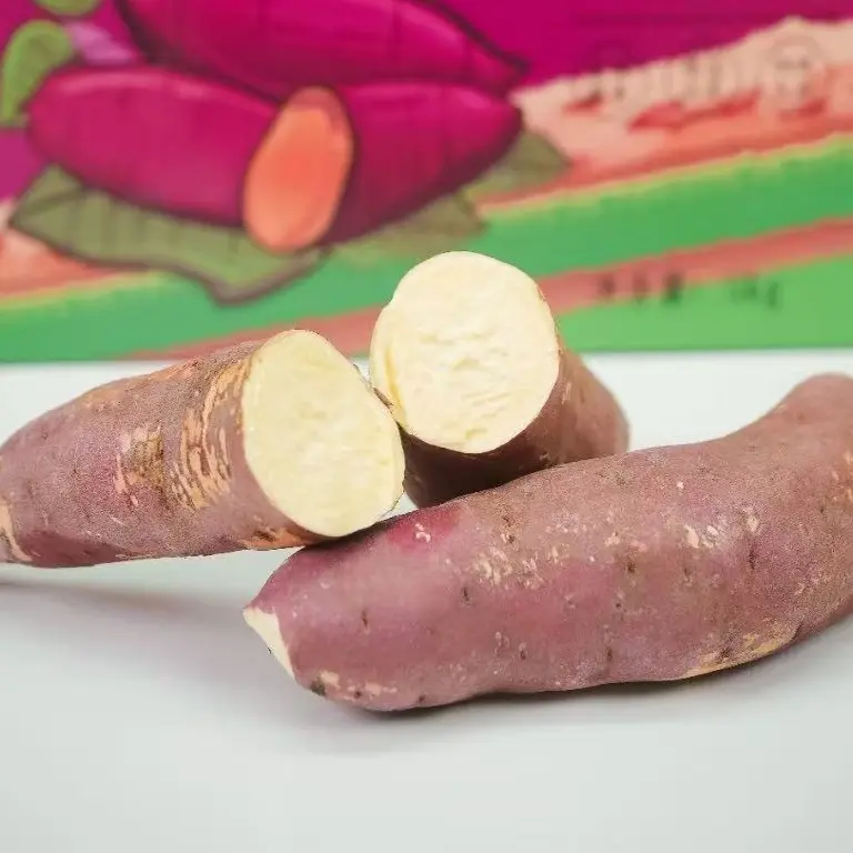 10 斤正宗岳龙红瑶蜜薯已糖化产地直发无筋无丝