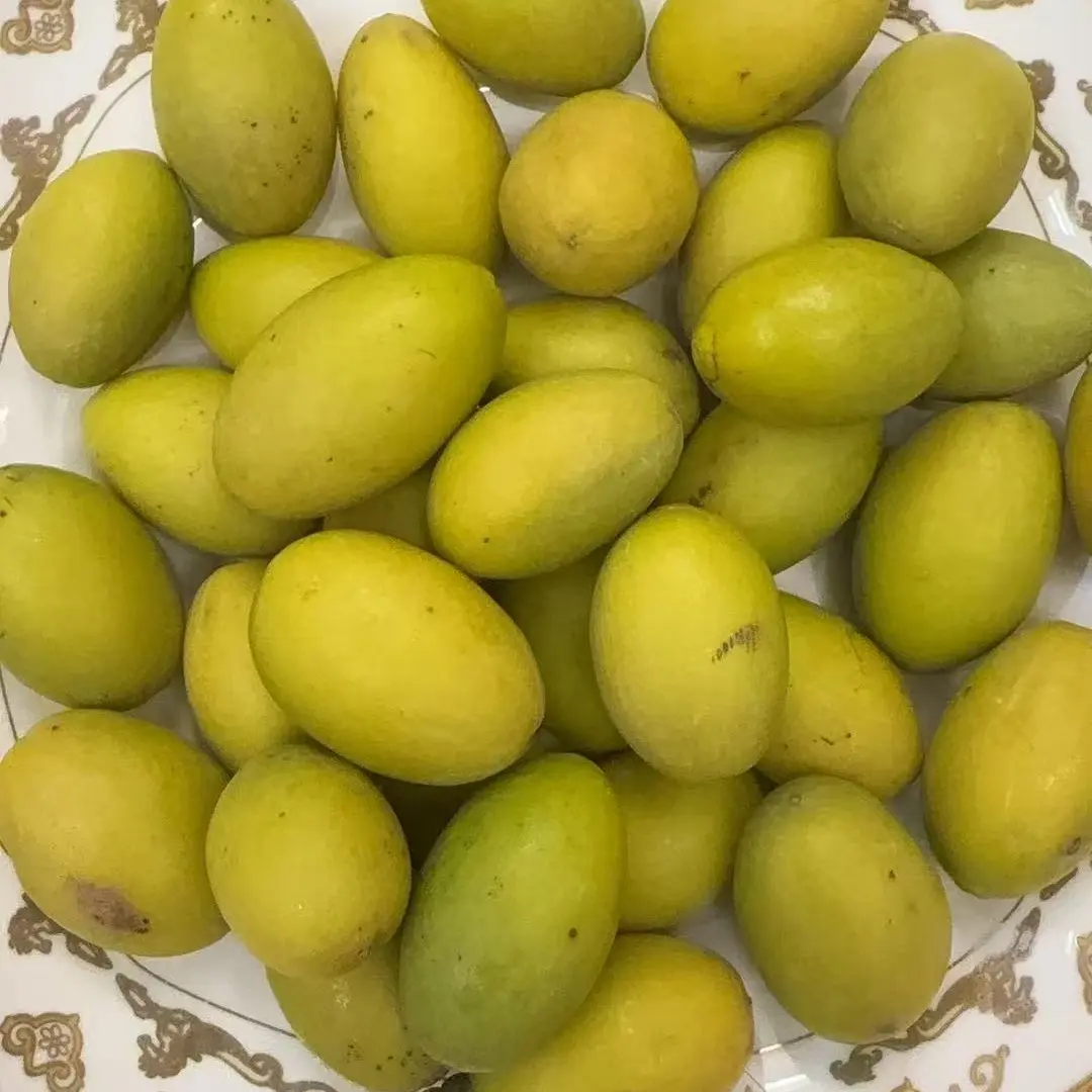 金灶甜种橄榄新鲜采摘生吃酥甘香小花煲汤泡酒橄榄青果无渣