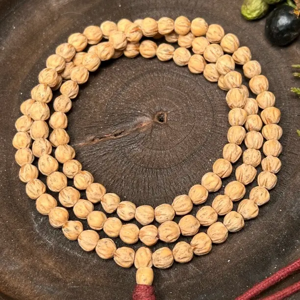 原桩柏香籽矮桩红莲花108长串，高油高密盘玩走色快玉华红透