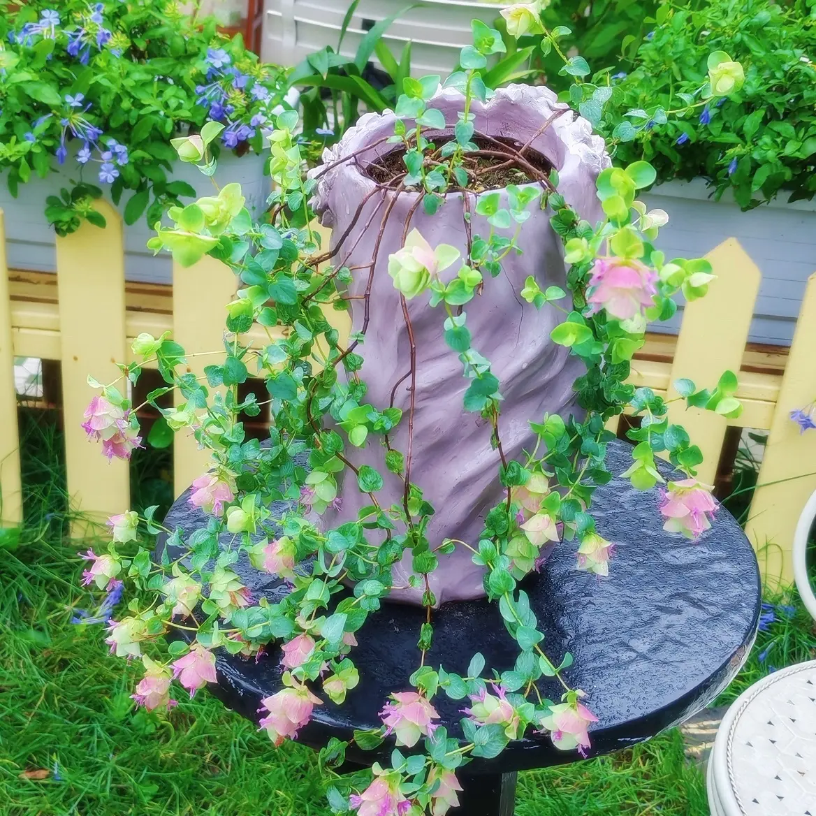 【折纸画】观赏小盆栽多年生花园阳台垂吊观花观叶植物