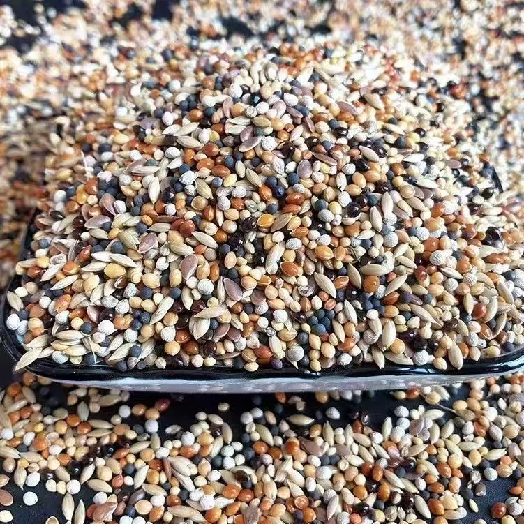 1鹦鹉专用鸟粮5斤装