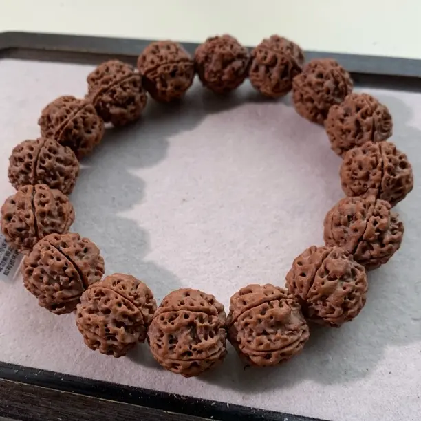 古龙老树铁籽22mm小高货粗筋镂空五瓣红皮原生态