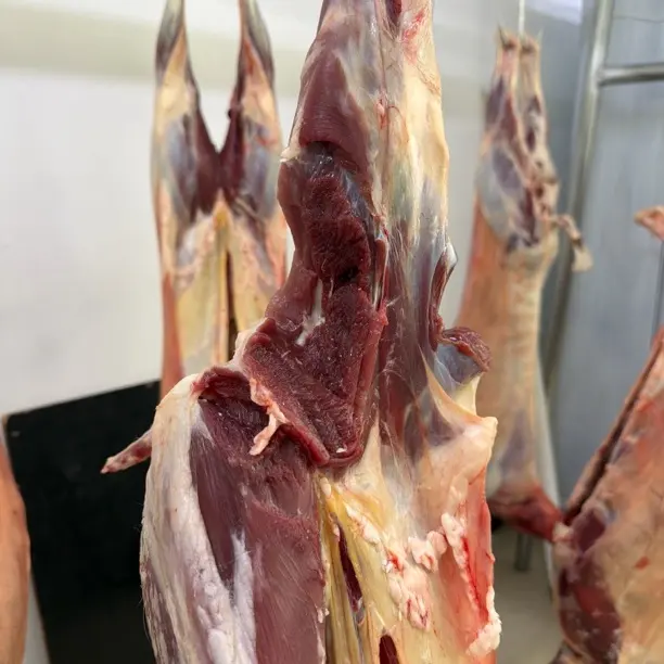 羊蝎子带脖子一整根（现场秤重打价格）