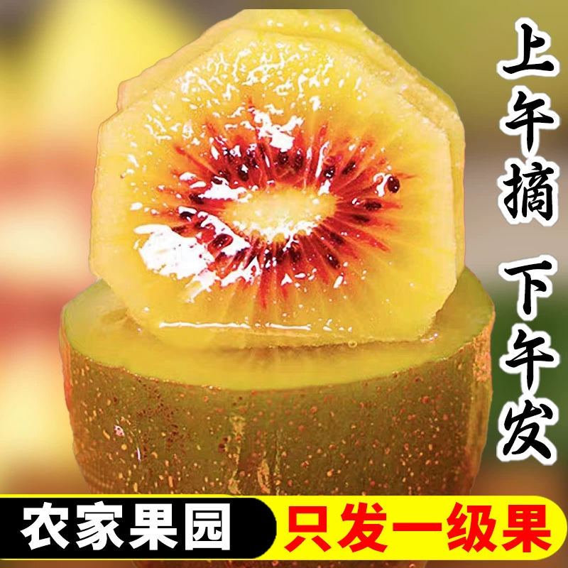 四川蒲江红心猕猴桃一箱应季新鲜水果孕妇维生素c产地直发