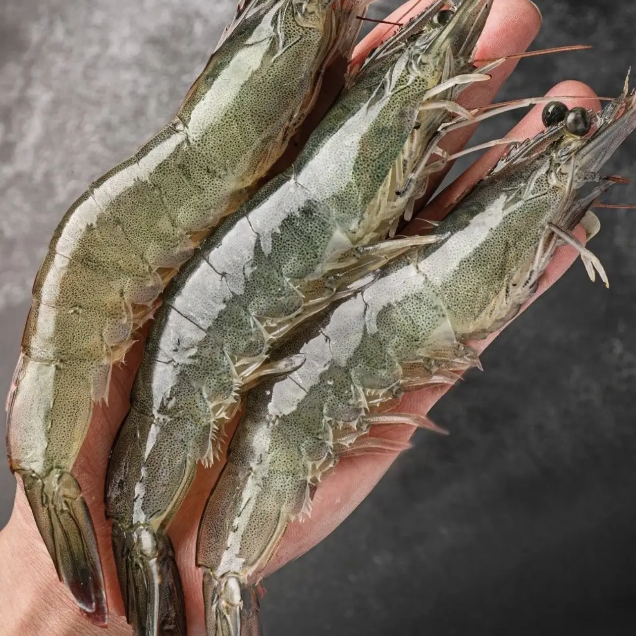 大连海水大虾 3斤冻发 味道鲜美Q弹 顺丰包邮