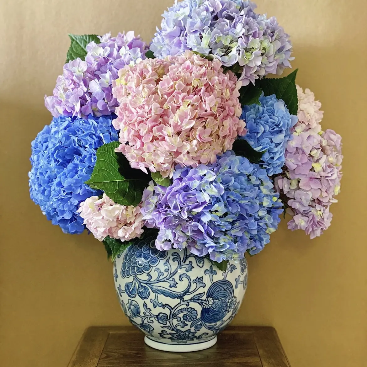 无尽夏绣球花云南基地直发可水养室内插花花卉