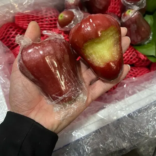 黑金刚莲雾好吃水份足清甜补水神器