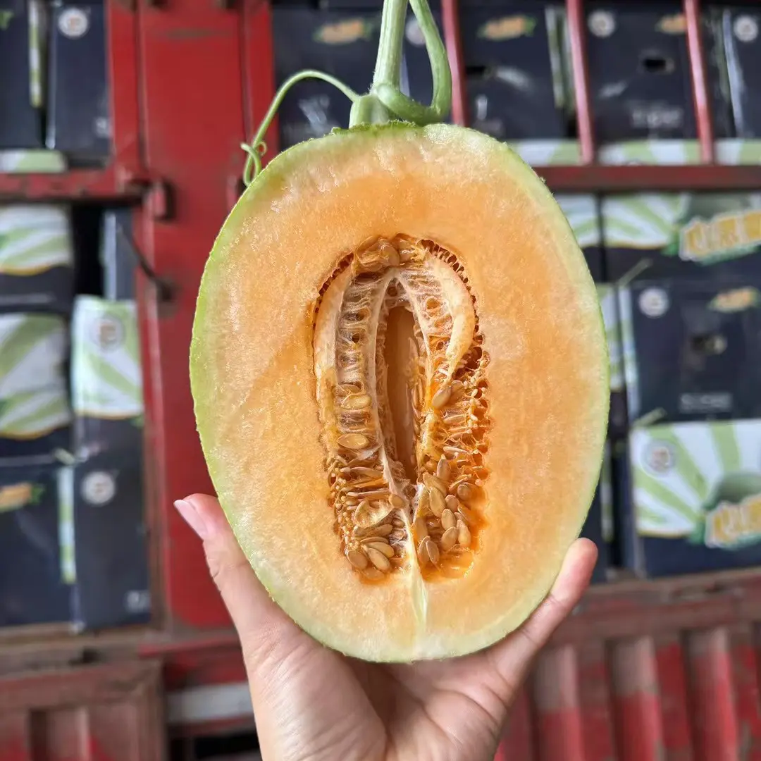 心思蜜海南新鲜脆甜哈蜜瓜2个顺丰包邮