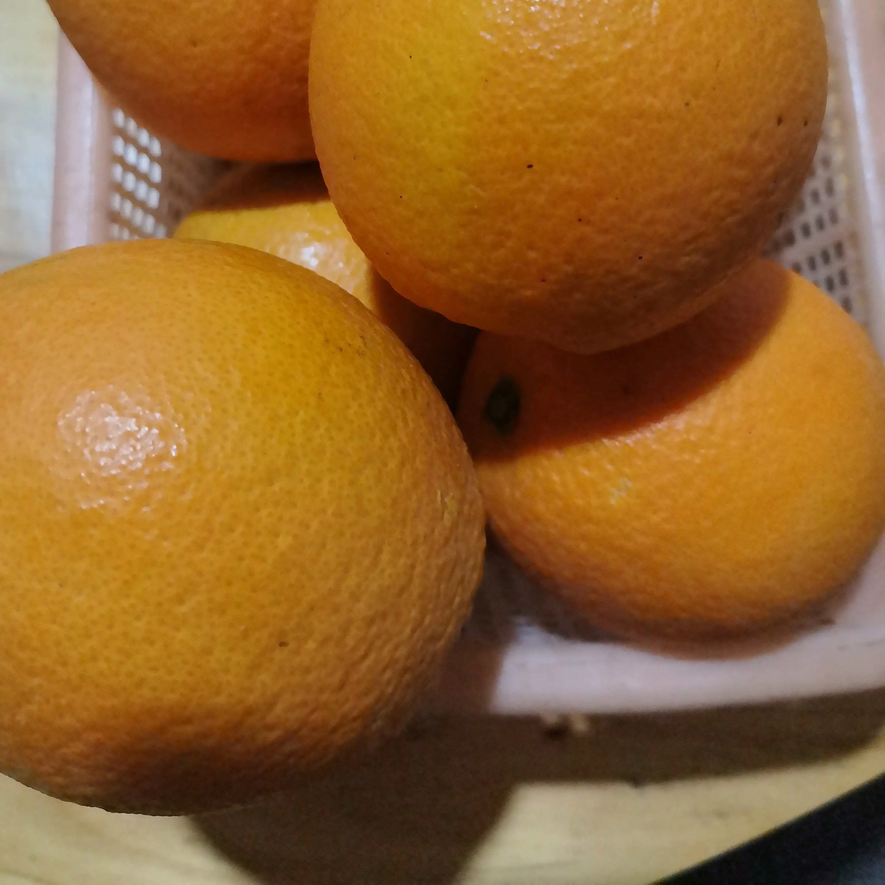 正宗湖南茶陵脐橙（大果）