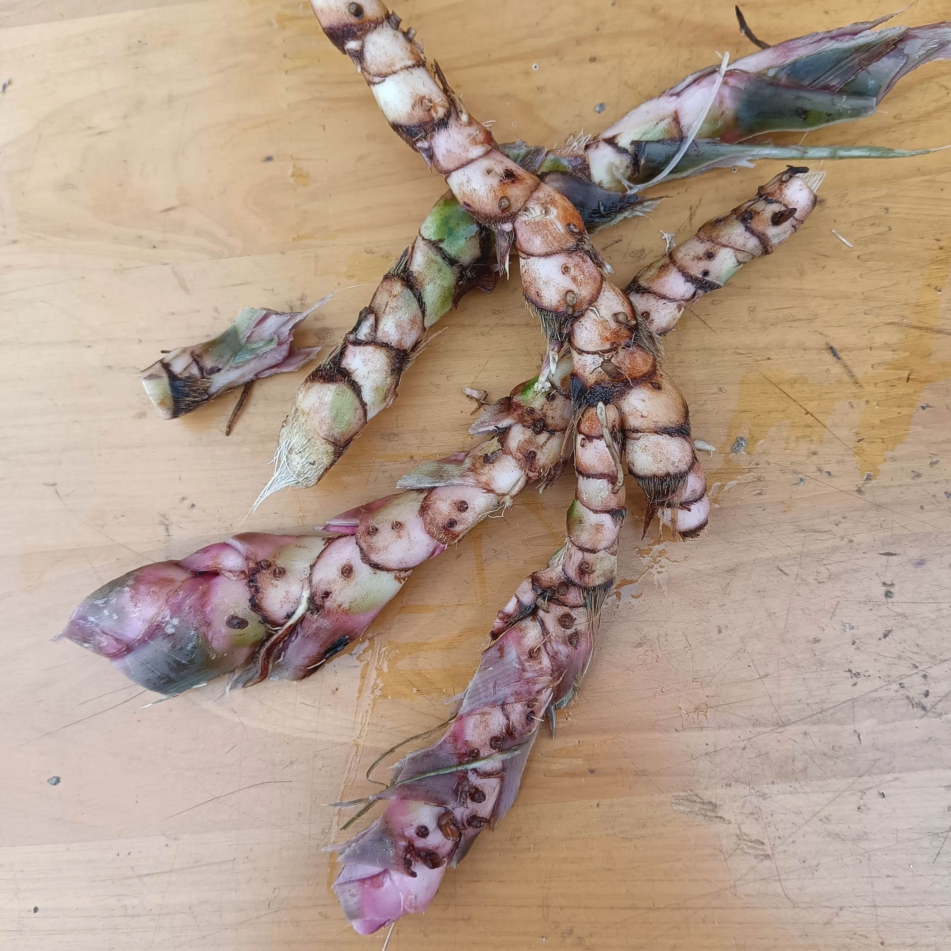 沙姜山奈五香草干货产地直发