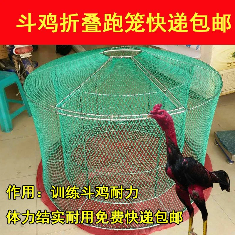 斗鸡折叠跑笼斗鸡大转笼斗鸡训练跑笼斗鸡训练用斗鸡笼鸡罩笼