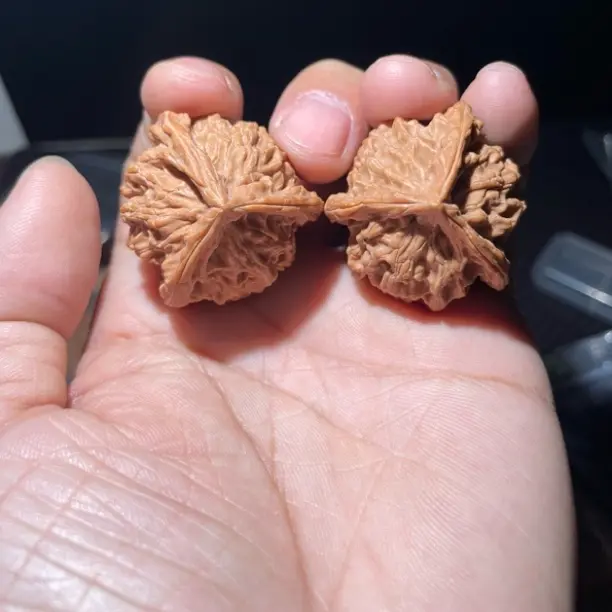 文玩核桃直播专项链接