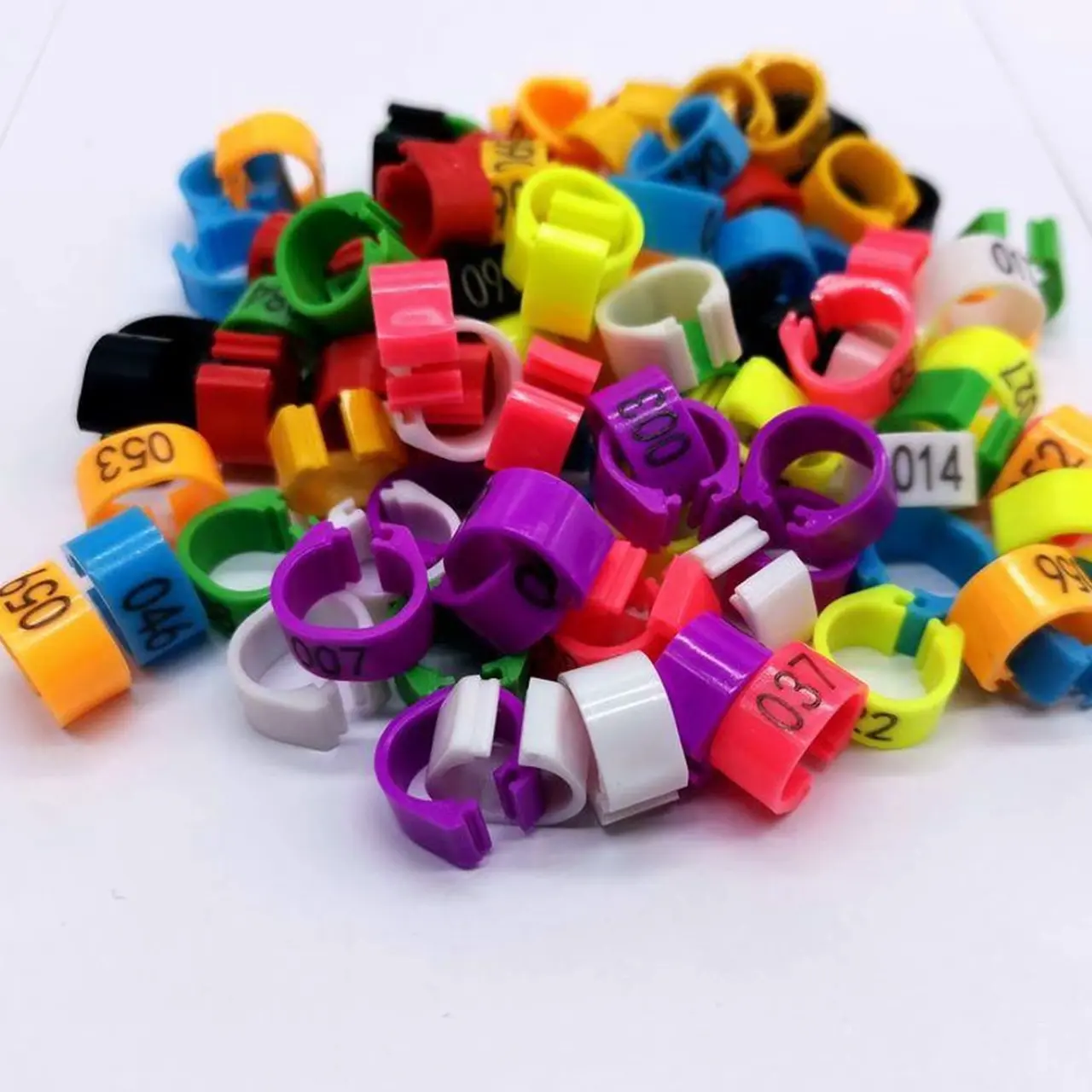 塑料开口彩色数字鸽子脚环赛鸽识别环防脱扣