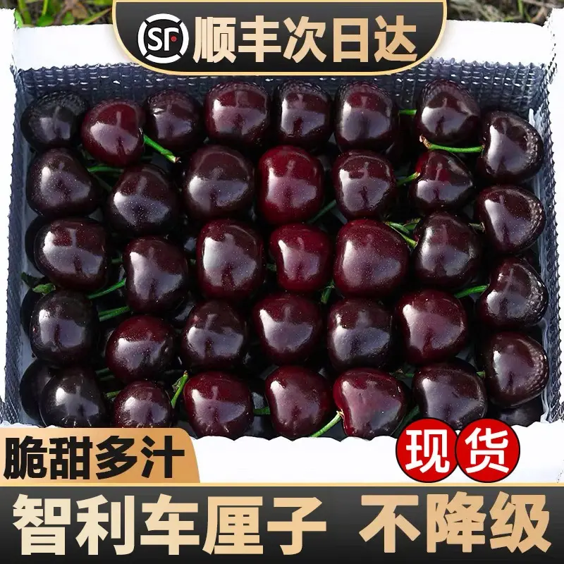 JD-4JDD特大果智利进口车厘子水果内附果径卡2500g海运LM桑提娜