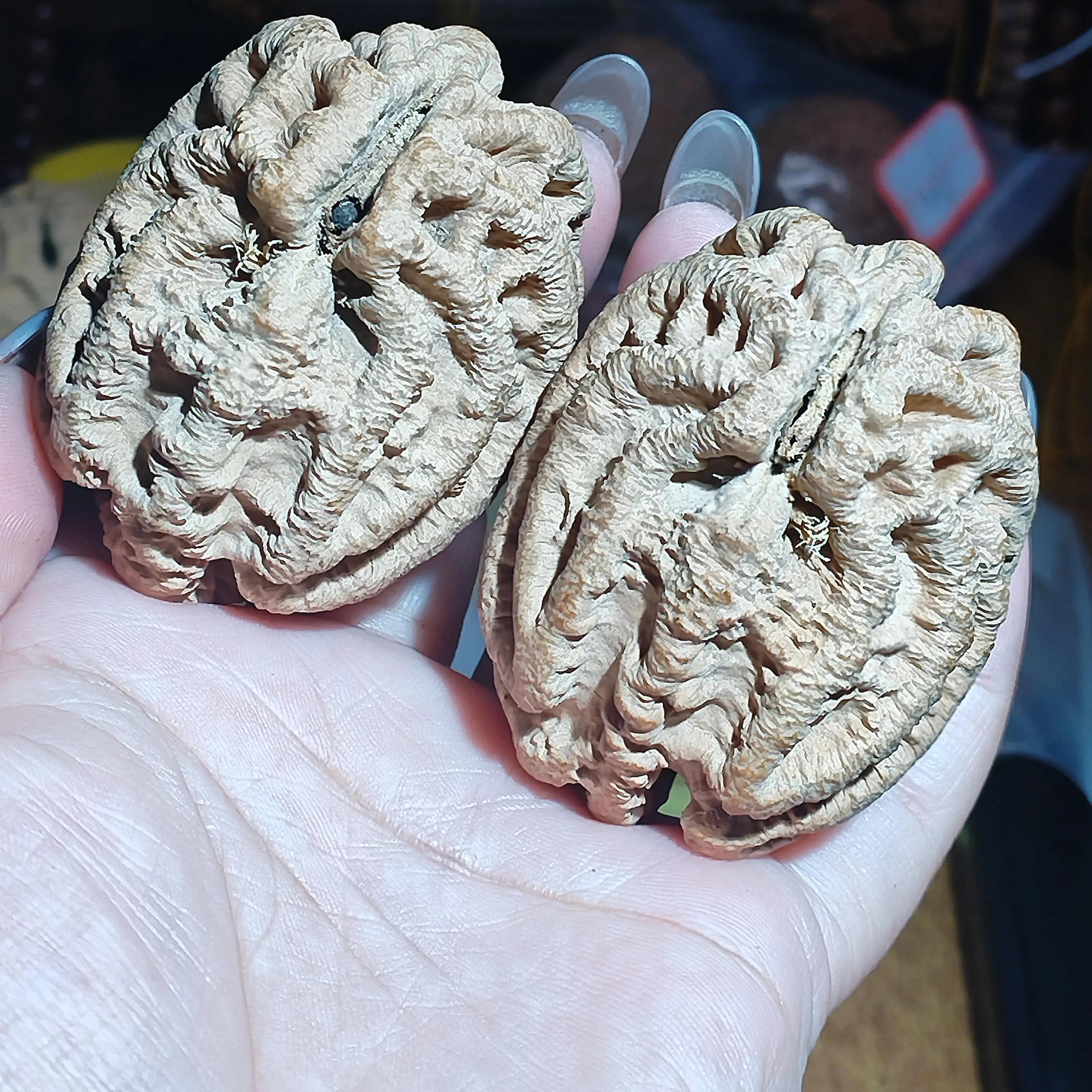 异形鬼脸斗战圣核文玩核桃