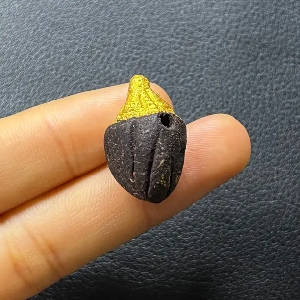 藏传收获一枚擦擦