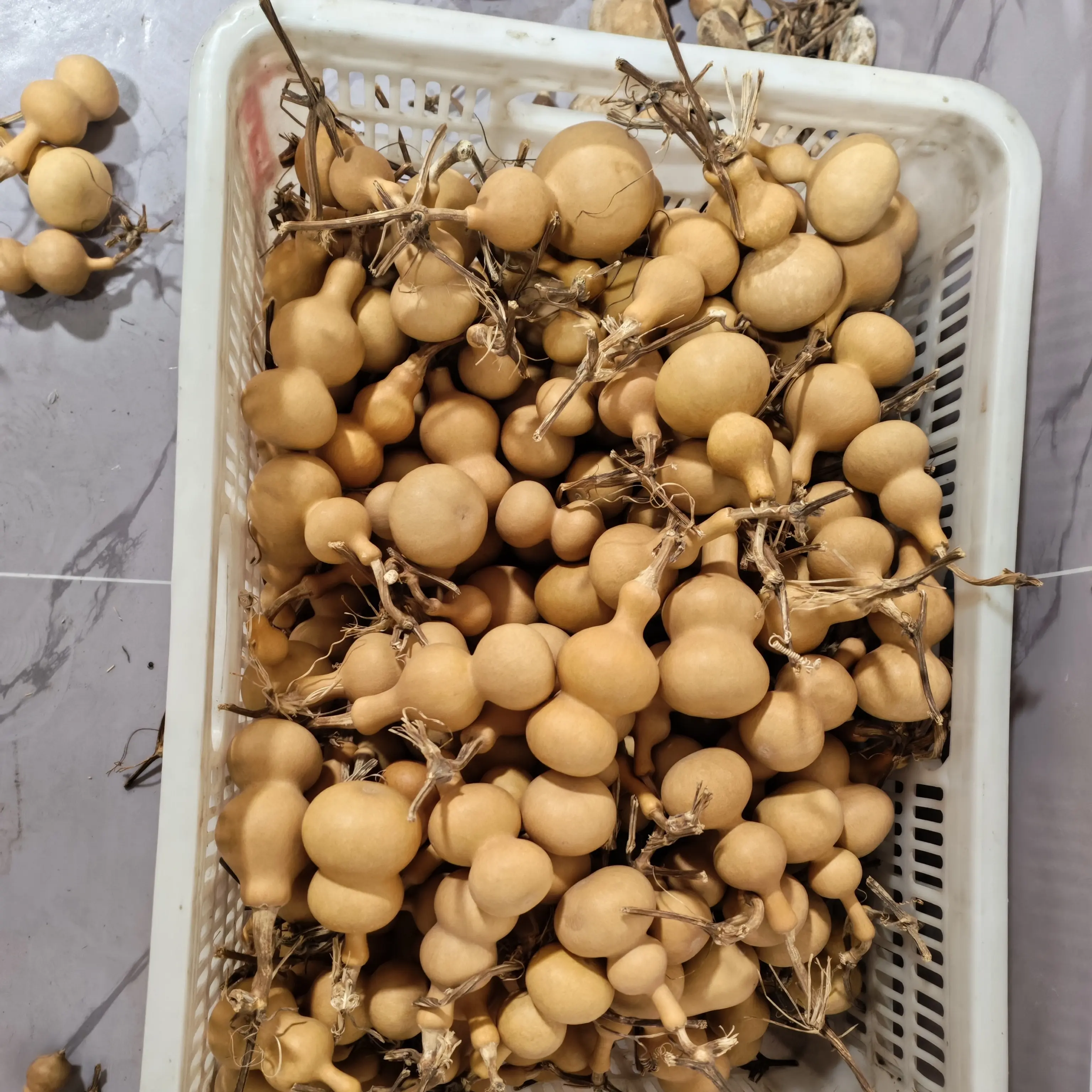 10*天然文玩手捻小葫芦挂件把件带龙头可盘玩小葫芦