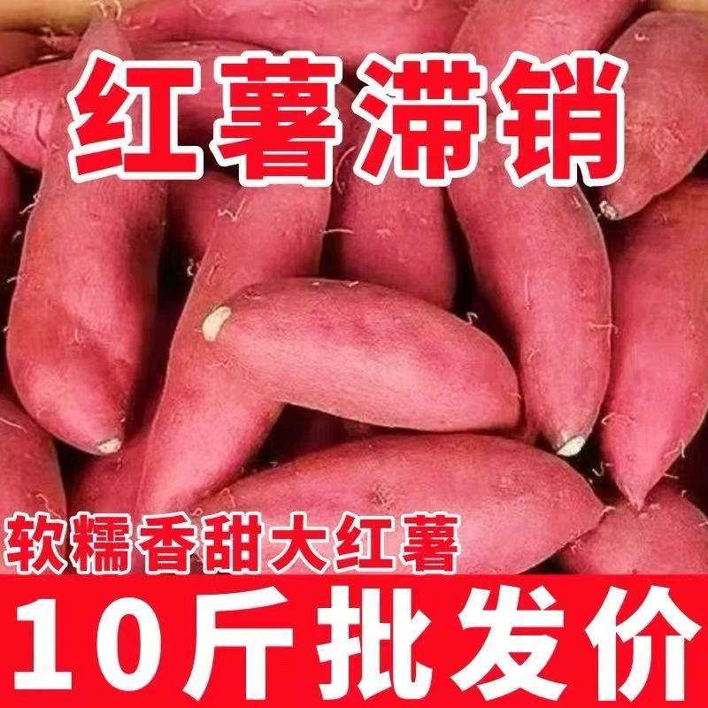 新鲜沙地蜜薯10斤烤红薯番薯地瓜烟薯木薯蔬菜水果消费券用券好物
