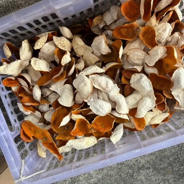 浦北2025年断皮不售后，介意别拍