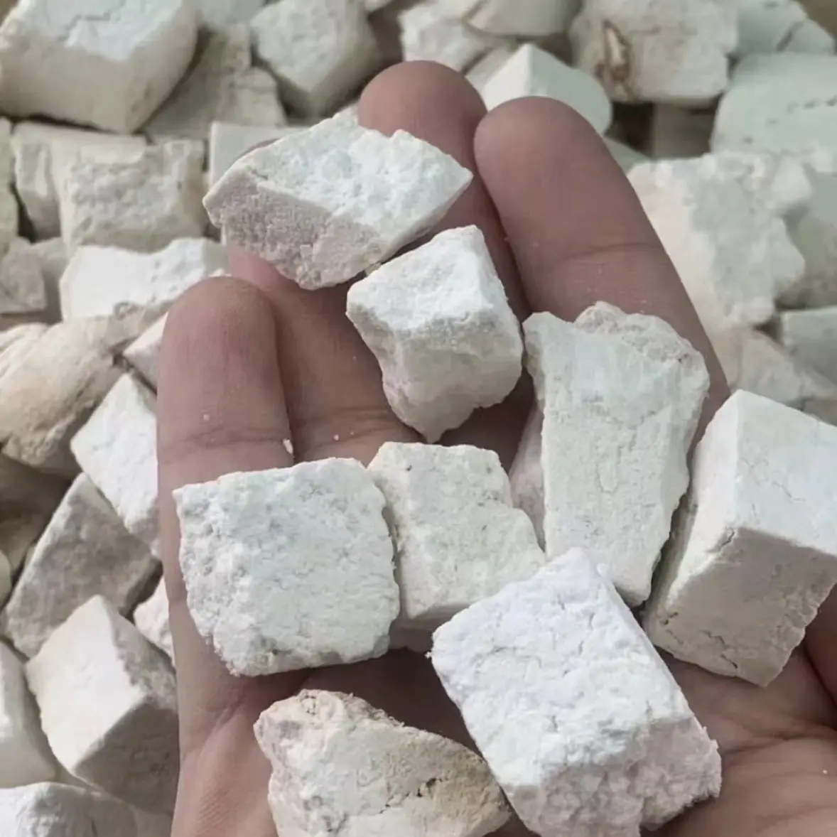 云南茯苓可煲汤煮水