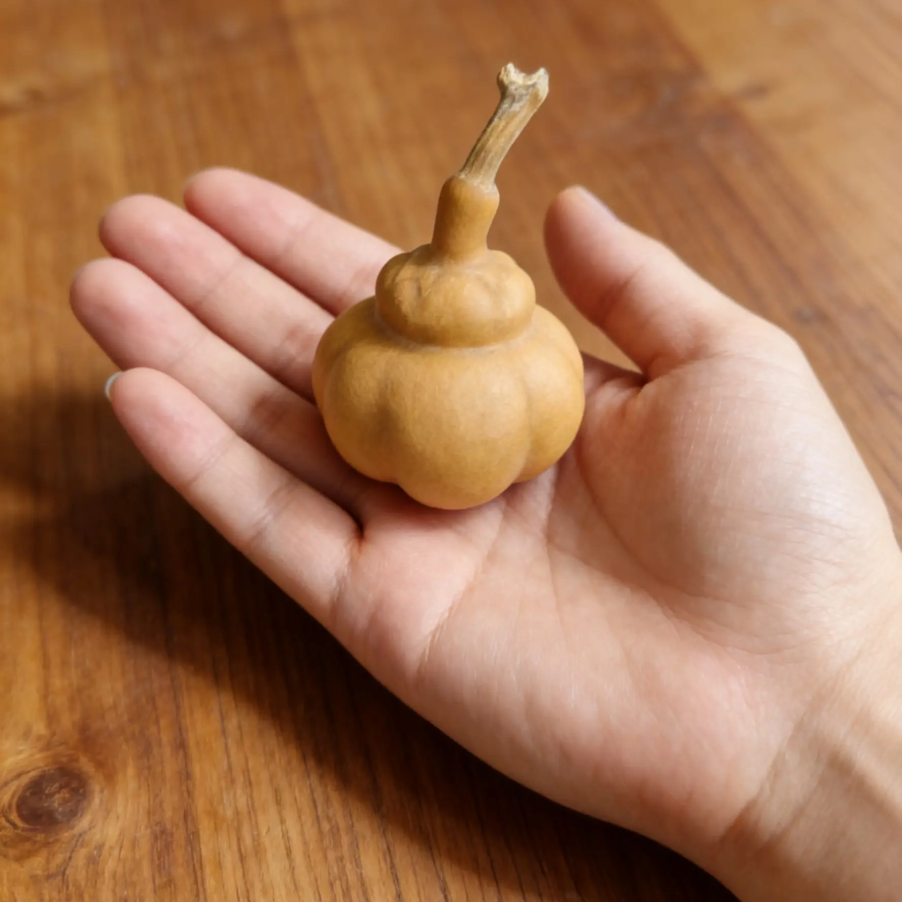 盘玩天然精品文玩小葫芦手把件