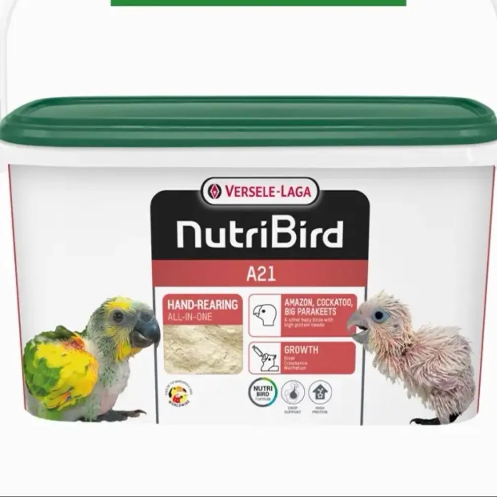 比利时凡赛尔A19A21手养灰机和尚小太阳正品保真原装分装