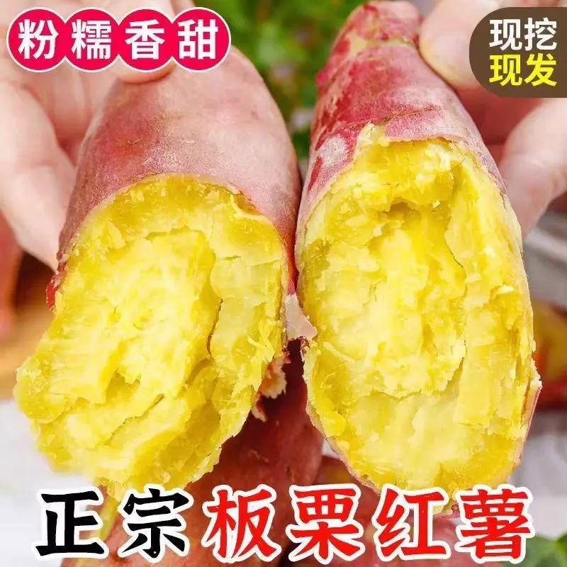 【买3斤送2斤重5斤】陕西正宗板栗红薯香糯皮薄农家自种板栗味香薯