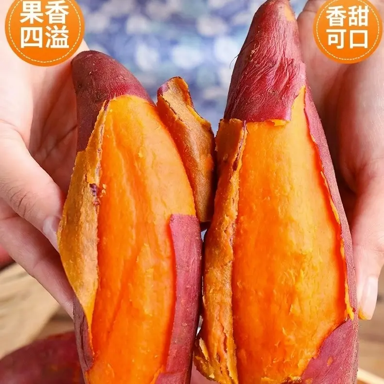 新鲜现挖正宗沙地西瓜红薯