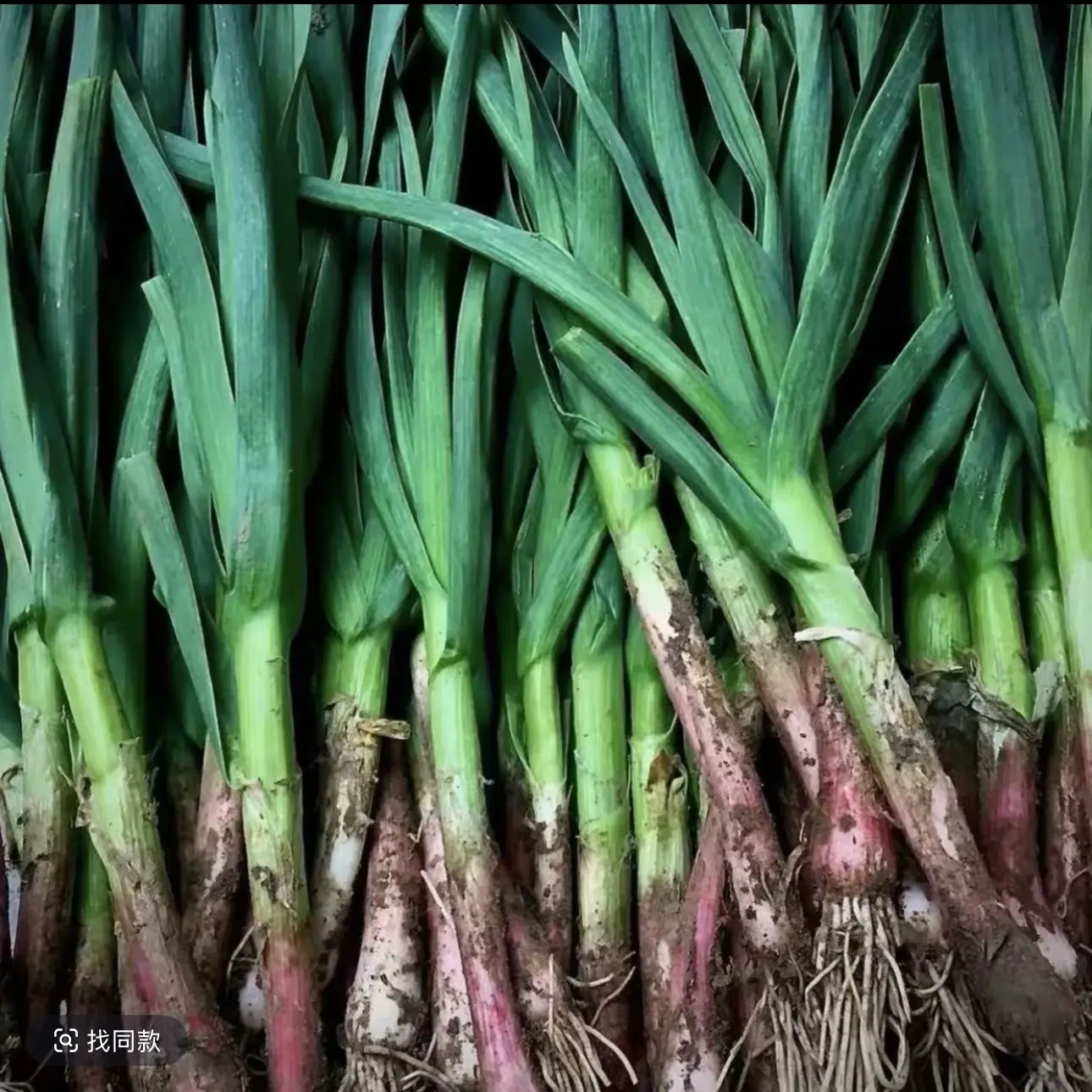 江西余干特产农家土生土长的新品上市亏本带人气