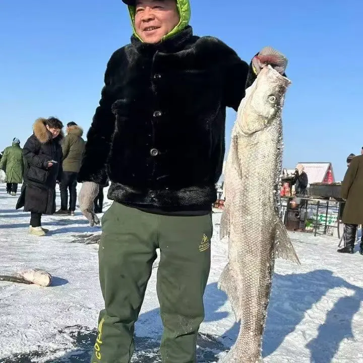 冷水野生大白鱼3斤到6斤，速冻后发货