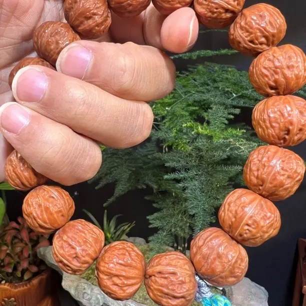 21 野生八棱手串