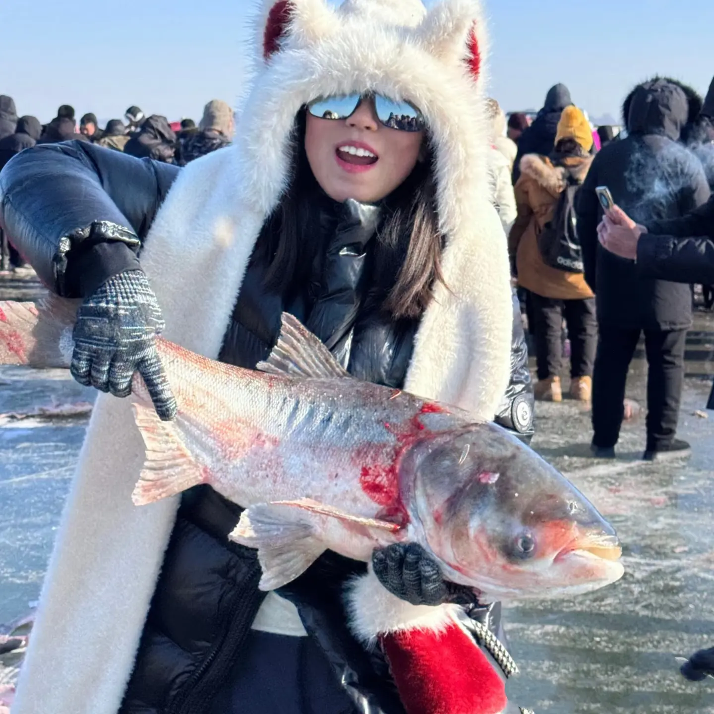 冬捕胖头鱼改价链接1