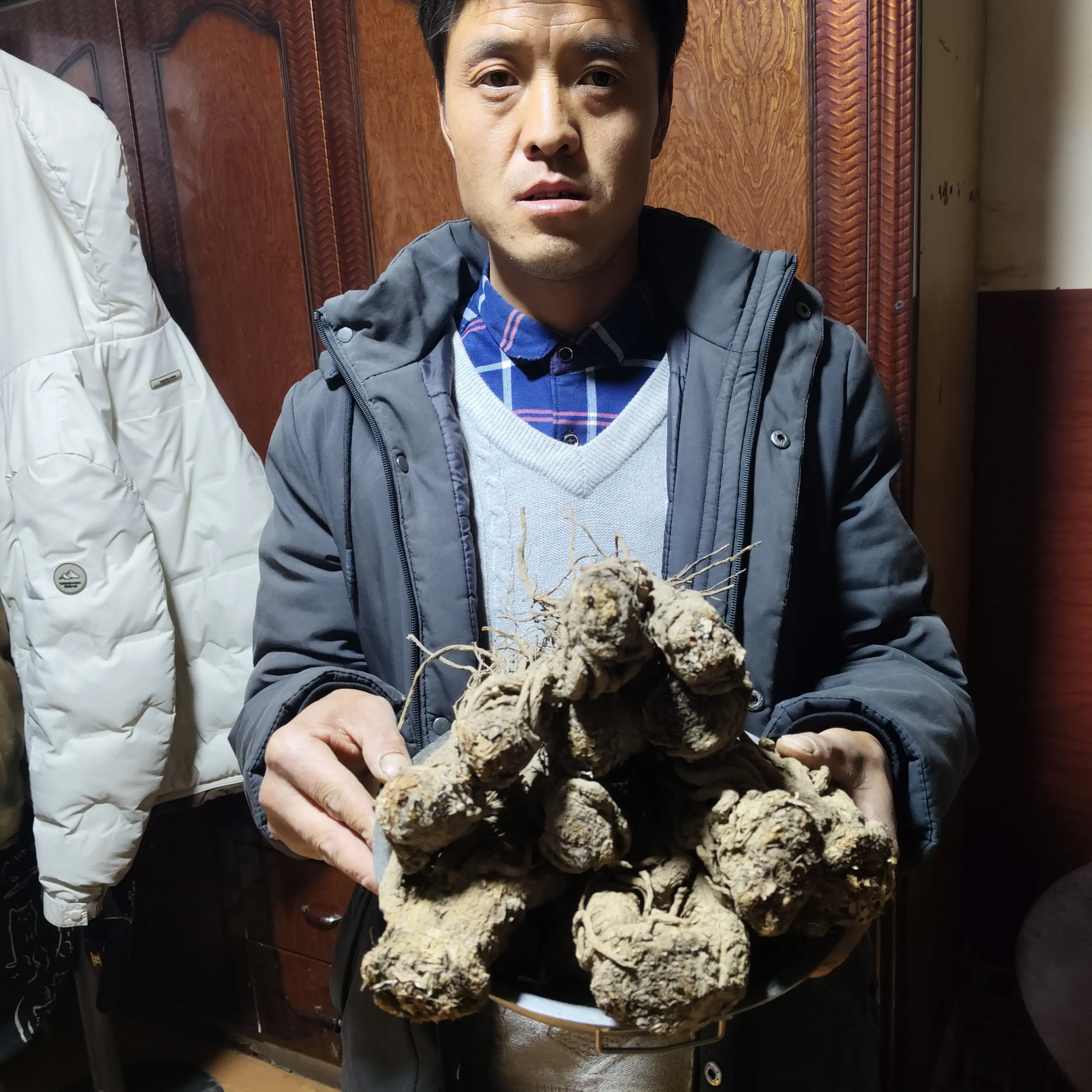 甘肃岷县当归大条无硫原产地直发