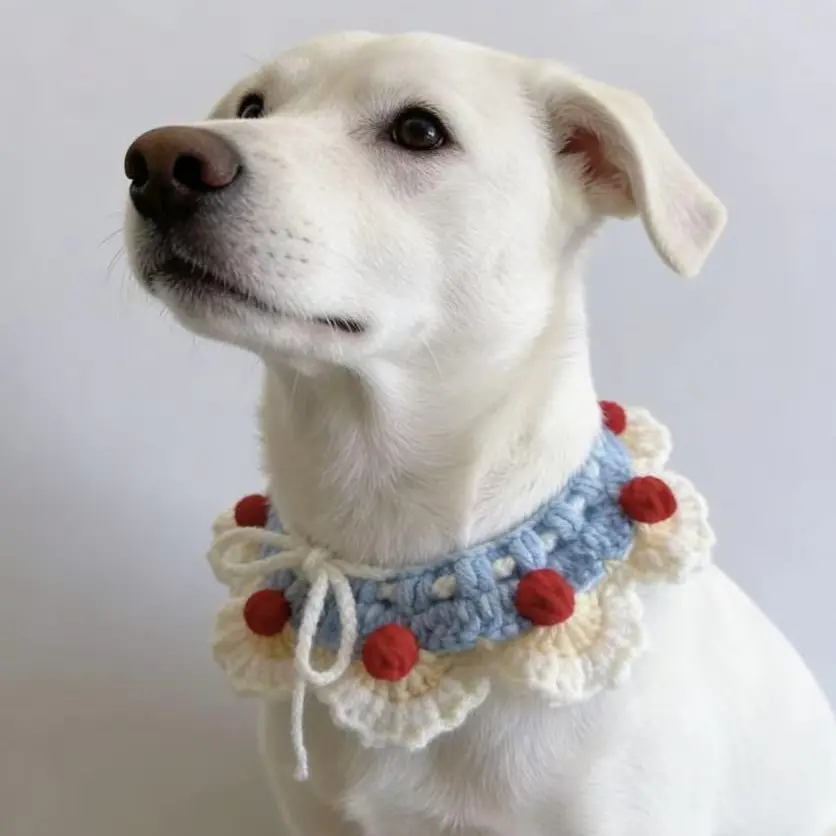 猫咪狗狗围脖口水巾针织围领可爱装饰围兜小中大型犬宠物饰品
