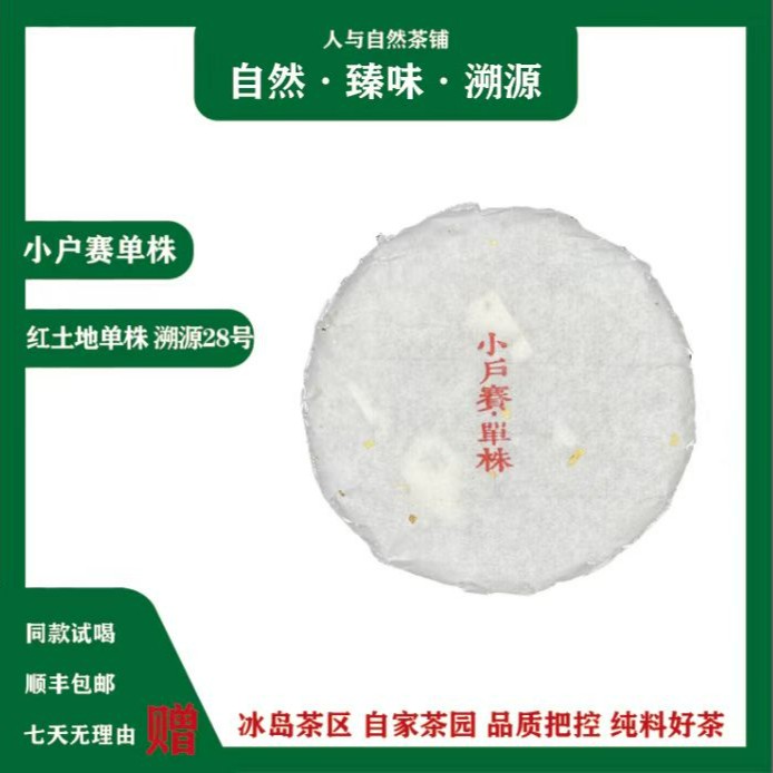 小户赛100克 单株 春 生茶花果香勐库源头茶厂发货