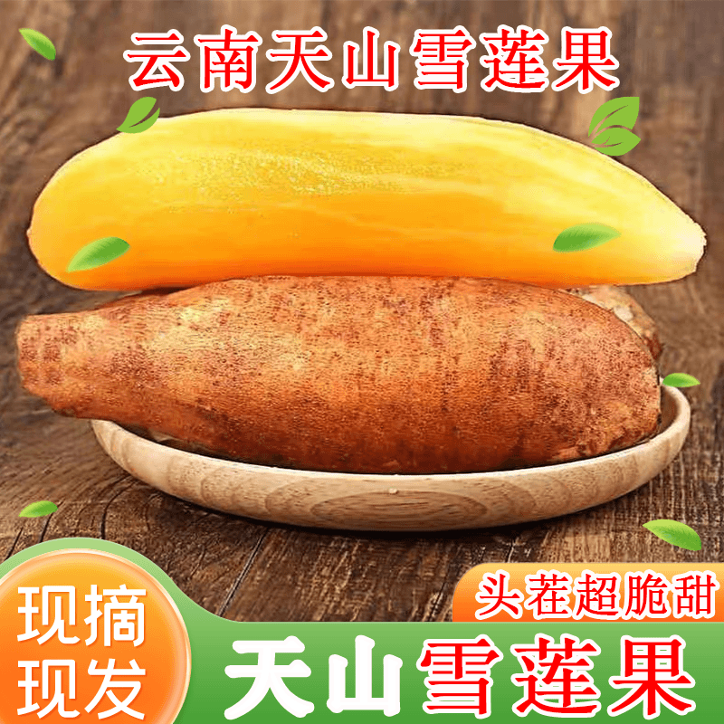 【头茬】2025年云南天山雪莲果 红泥沙地现挖脆甜多汁 新鲜水果 lm商品图