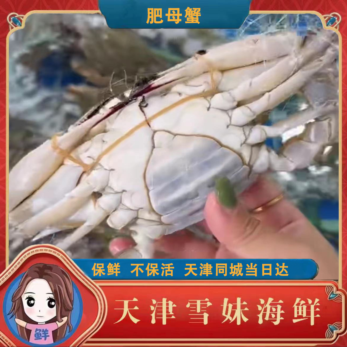 雪妹【保鲜不保活】肉母蟹残蟹断氧  2斤-5斤 每斤2-3只，单只4-5两