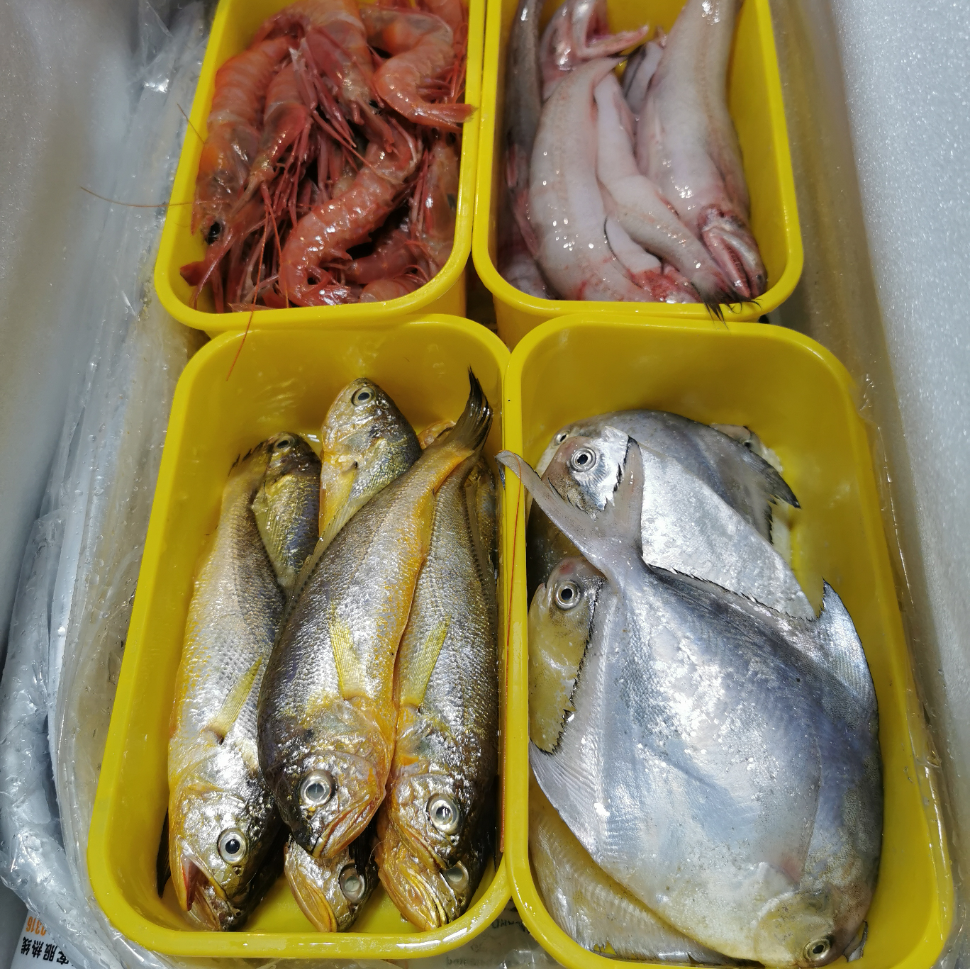 【台州松门海鲜】东海海捕小网海鲜组合礼包带鱼鲳鱼水潺顺丰