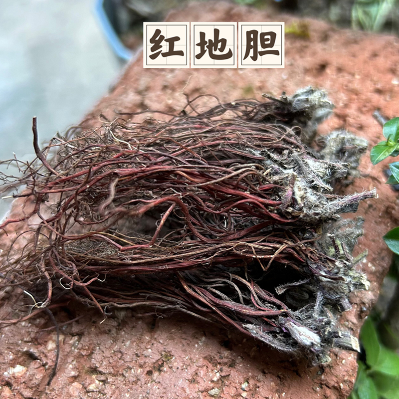 地胆头根茎 野生红地胆 农民深山自采150g250g500g