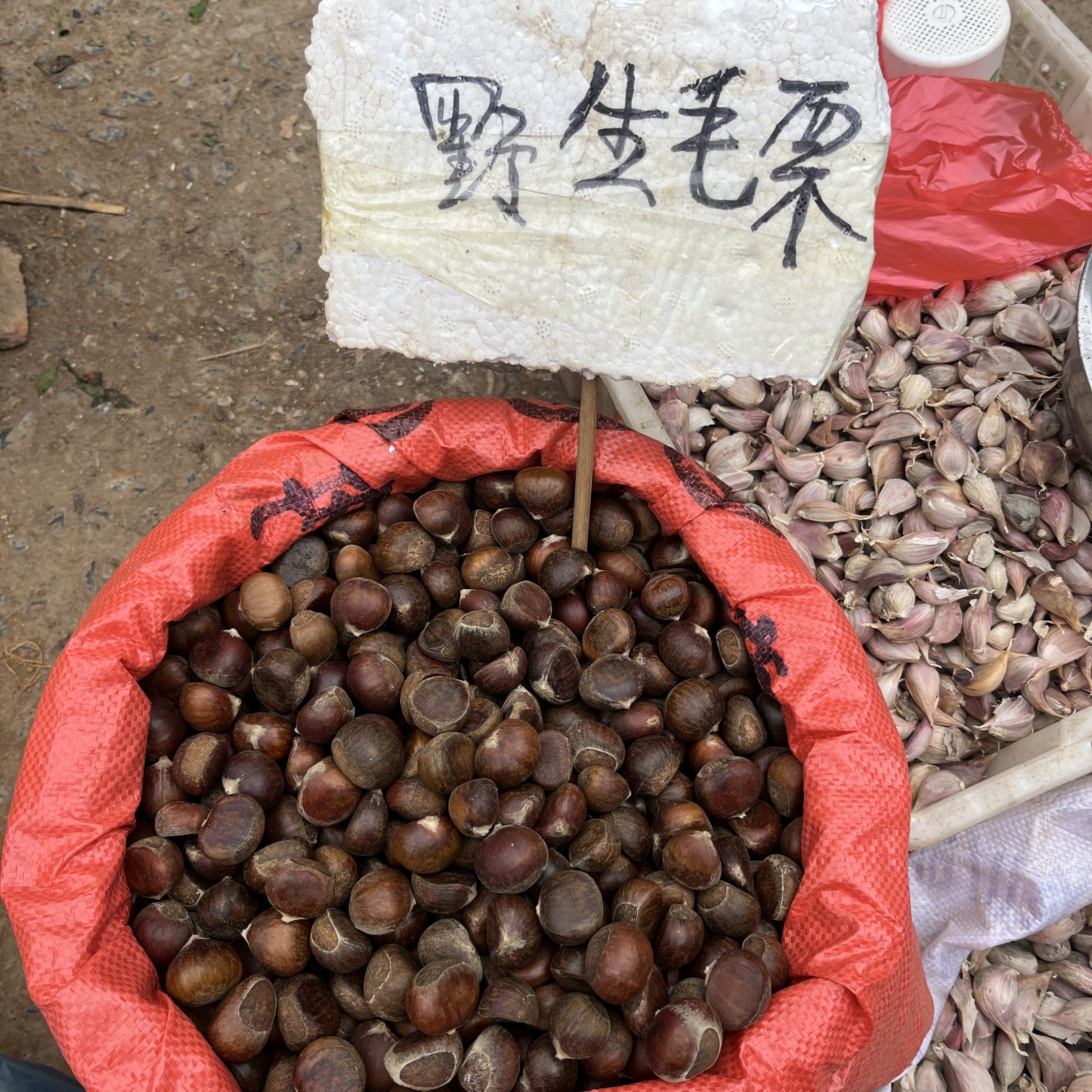 全州野生毛栗转栗锥栗5斤装全国包邮［全州飞玲特产］