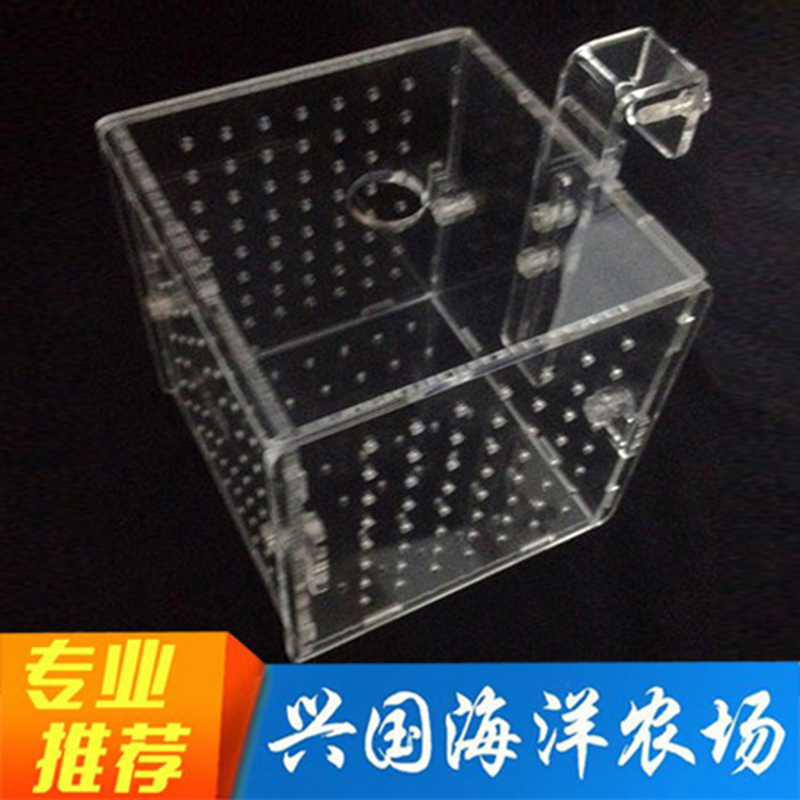 鱼缸隔离盒 亚克力海水鱼缸隔离盒小丑鱼打架隔离观察检疫盒